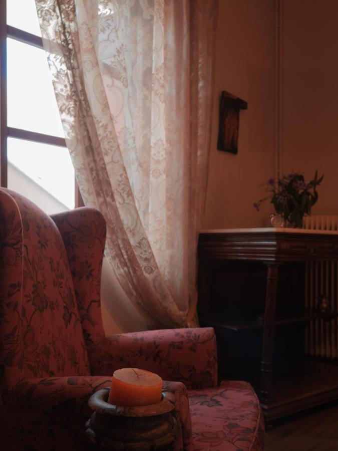 Olga's Cozy Appartement